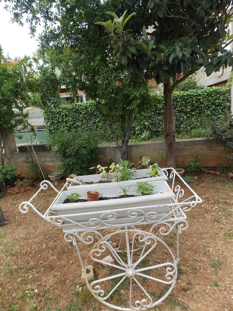 Apartment Ivana Водице Экстерьер фото